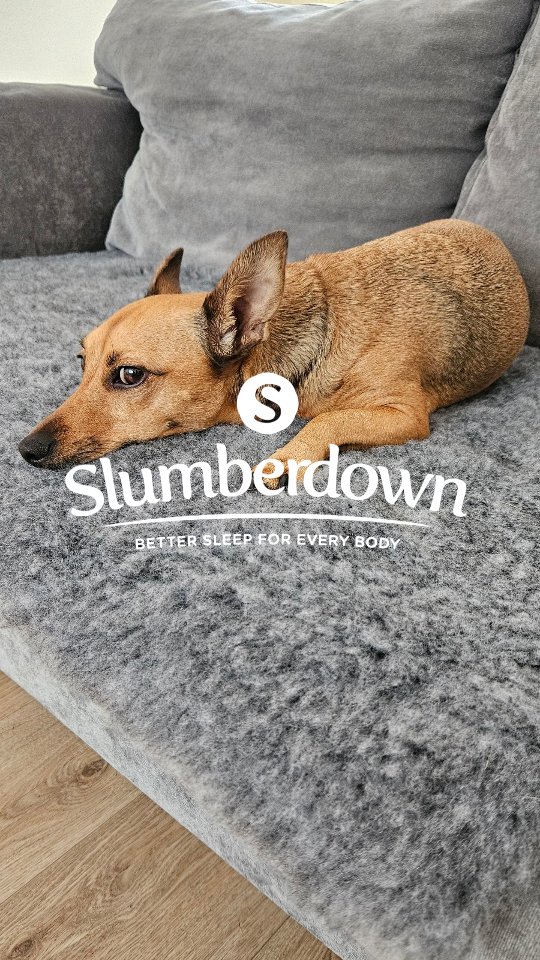 Slumberdown Pets UGC